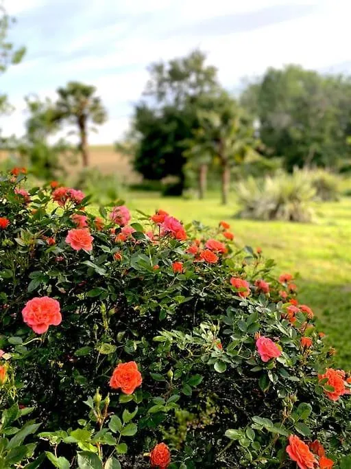 בית נופש Valence-sur-Baise Gite De Charme Avec Piscine Dans Le Gers « Le Clos Boissiere »